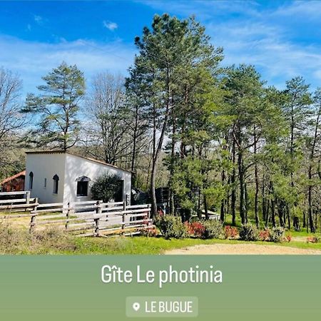 Le Photinia Villa Le Bugue Exterior photo